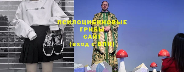 apvp Сафоново