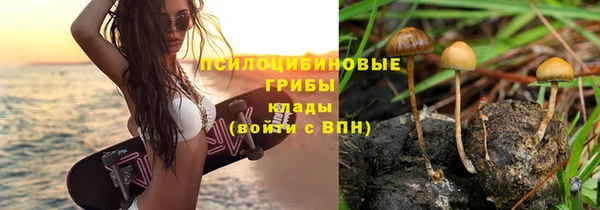 apvp Сафоново