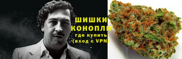 apvp Сафоново